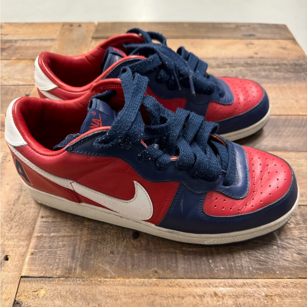 Vintage Nike Terminator Low 2004 Arizona Wildcats